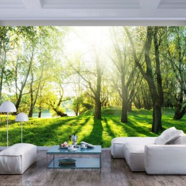 Self-adhesive photo wallpaper - Sunny May Day