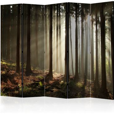 5-part divider - Coniferous forest III [Room Dividers]