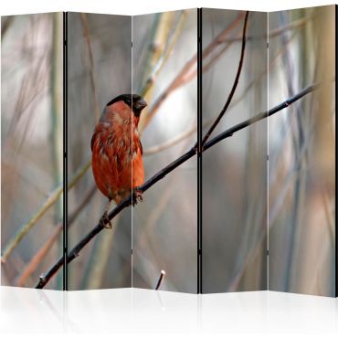 5-part divider - Bullfinch in the forest II [Room Dividers]