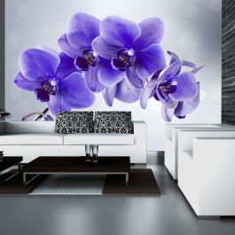 Self-adhesive photo wallpaper - Parting hour