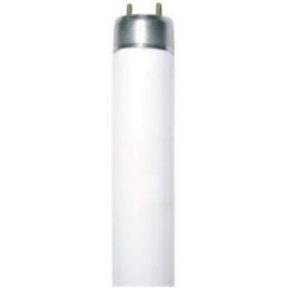 Fluorescent lamp G13 Standard 36W 6400K T8