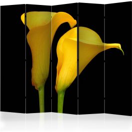 Partition with 5 sections - Two yellow calla flowers on a black background II [Room Dividers]
