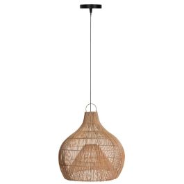 Ceiling light Trap